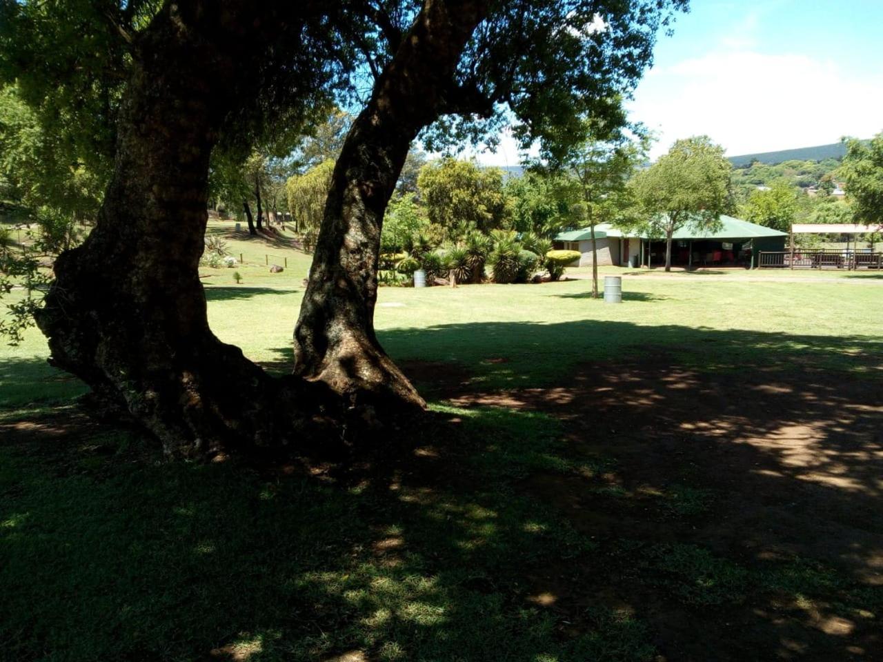 Sabie River Camp Ngoại thất bức ảnh